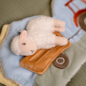 Little Dutch Activitybuch Little Farm