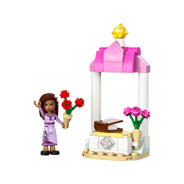 LEGO Disney Princess Ashas Begrüßungsstand 30661