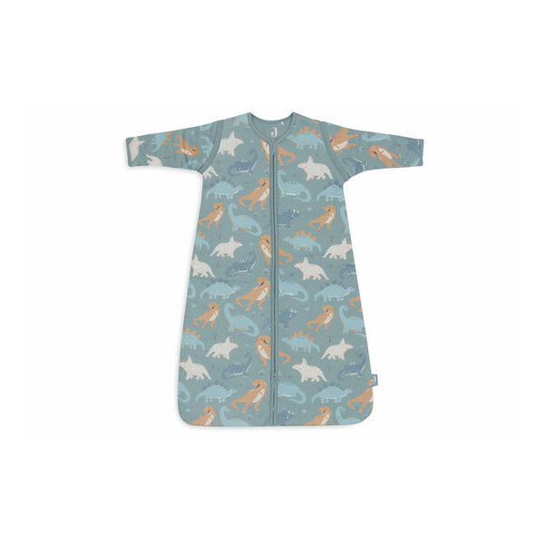 Jollein Winterschlafsack mit abnehmbaren Ärmeln Roarsome