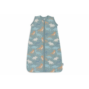 Jollein Winterschlafsack mit abnehmbaren Ärmeln Roarsome