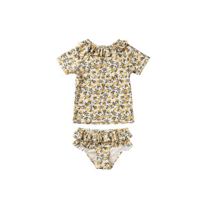 Salted Stories Set Lemons Golden Apricot