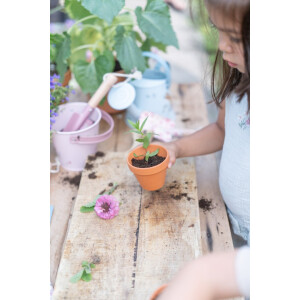 Little Dutch Eimer Fairy Garden