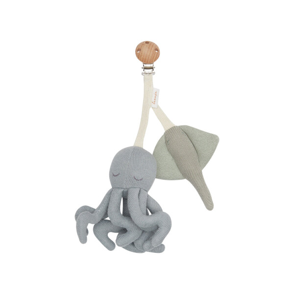 Leevje Kinderwagenanhänger