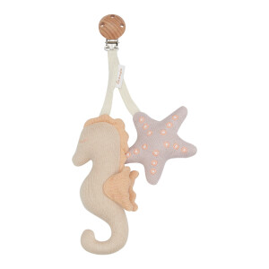 Leevje Kinderwagenanhänger