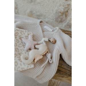 Leevje Kinderwagenanhänger