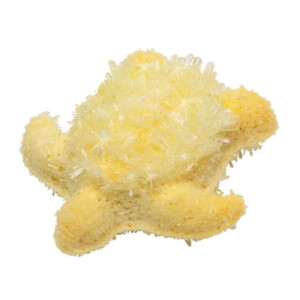 Moses Verlag PhänoMINT Funkelnde Kristalltiere züchten