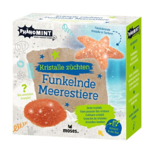 Moses Verlag PhänoMINT Funkelnde Kristalltiere züchten