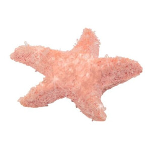 Moses Verlag PhänoMINT Funkelnde Kristalltiere züchten