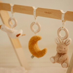 Little Dutch Babygym Newborn Naturals
