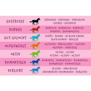 Moses Verlag Pferde Stimmungsarmband