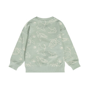 Dirkje Sweatshirt Beach