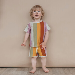 Salted Stories Shorts Multi Stripe