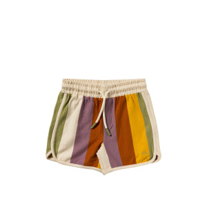 Salted Stories Shorts Multi Stripe