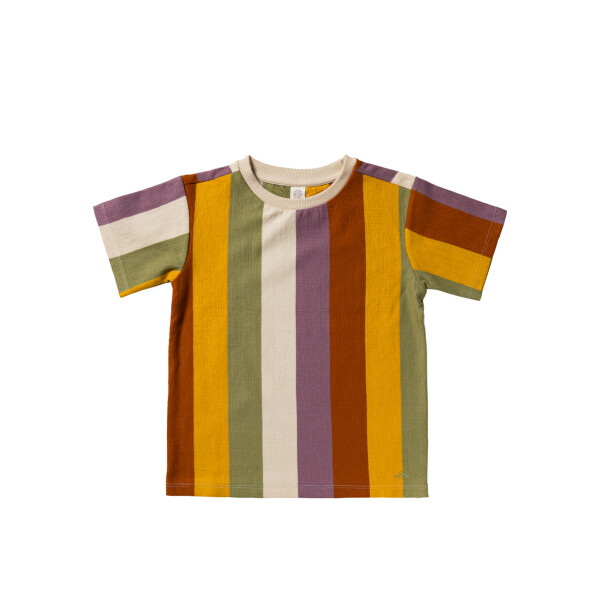 Salted Stories T-Shirt Multi Stripe