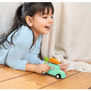 Moses Verlag Flotter Holz-Flitzer Frühlingsfreunde