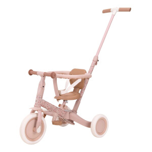 Little Dutch 4 in 1 Dreirad