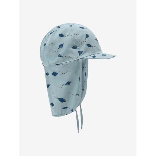 En Fant Sonnenhut UV Brunnera Blue Kites