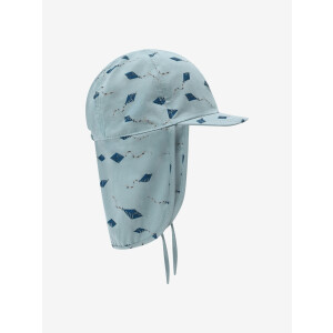 En Fant Sonnenhut UV Brunnera Blue Kites