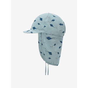 En Fant Sonnenhut UV Brunnera Blue Kites