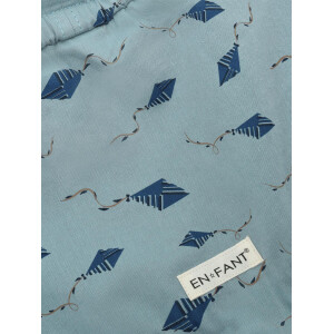 En Fant Sonnenhut UV Brunnera Blue Kites