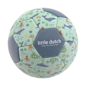 Little Dutch Miniball