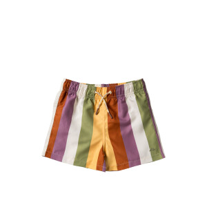 Salted Stories Schwimmshorts Multi Stripes