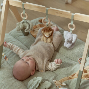 Little Dutch Babygym Safari Friends