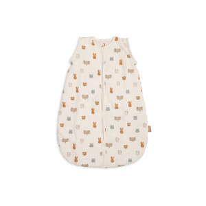 Jollein Winterschlafsack mit abnehmbaren Ärmeln Jollies