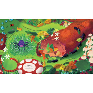 Usborne Verlag Wohin saust der Marienkäfer? mit Aufzieh-Marienkäfer