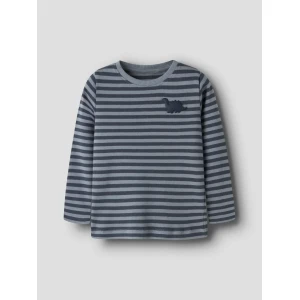 Name it Longsleeve Dino