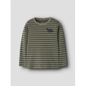 Name it Longsleeve Dino