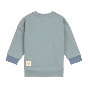 Lässig Sweatshirt Skateboard Lässig Fun Club
