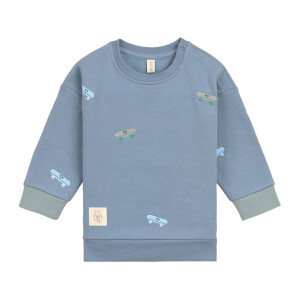 Lässig Sweatshirt Skateboard