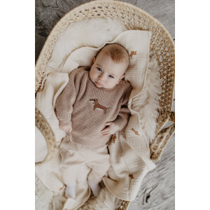 Leevje Strickpullover Dog dusty rose Baby