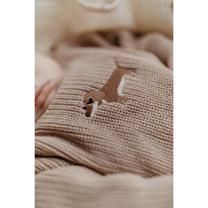 Leevje Strickpullover Dog dusty rose Baby