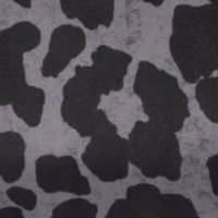Antra Leopard