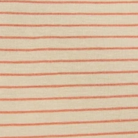 Sandy Beach/Spicy Ginger