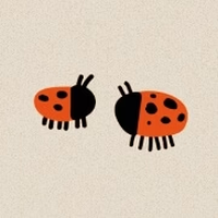 Lady Bug