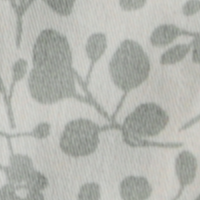 Eucalyptus
